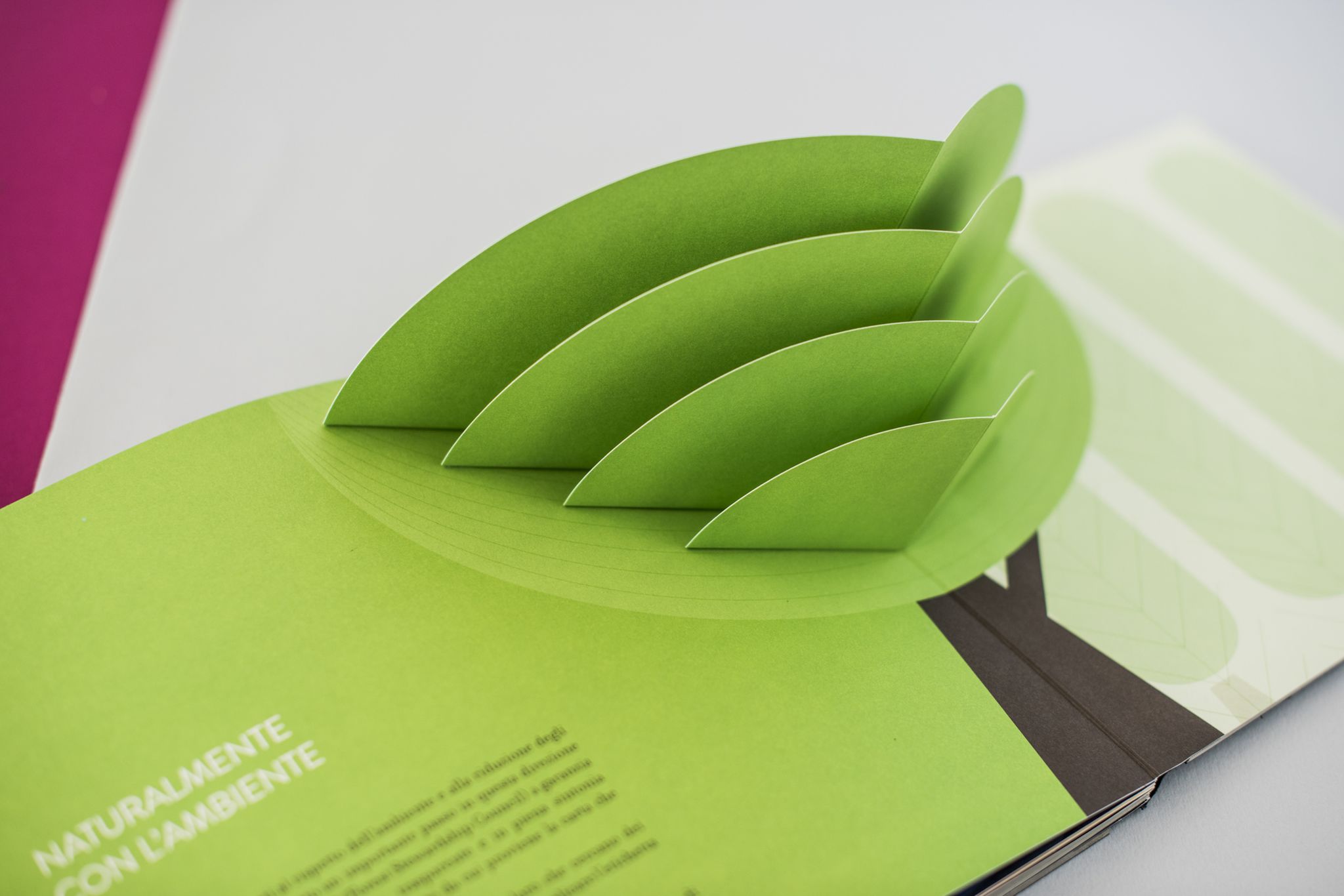Stampa editoriale con fustella e popup